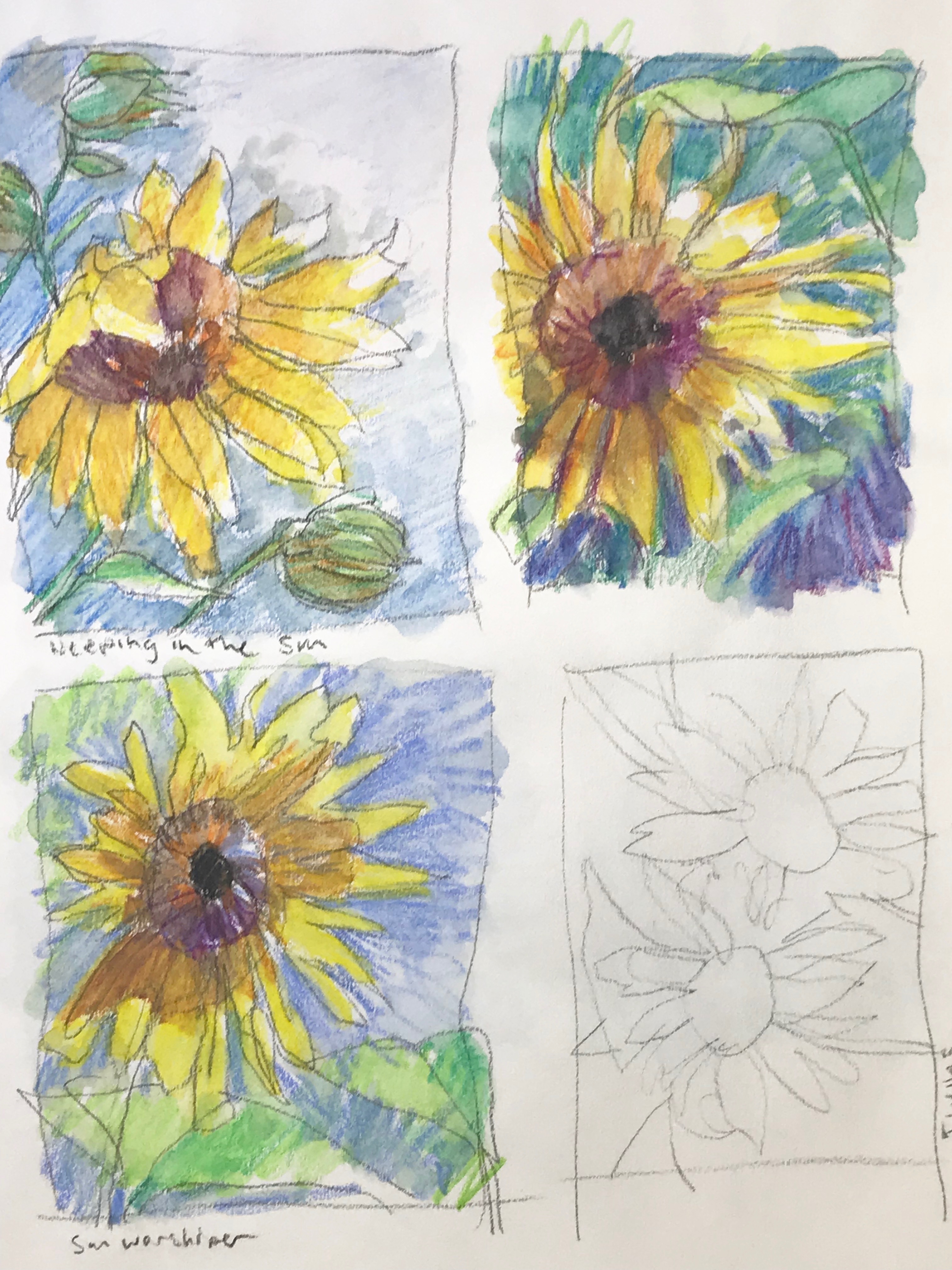 Sunflower watercolor sketches