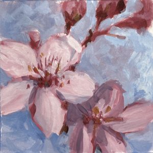 Spring Sakura