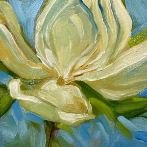 Magnolia blossom, full